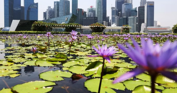 Singapura menempati urutan ke-4 kota terkaya di dunia, menyalip London: Laporan, Berita Singapura